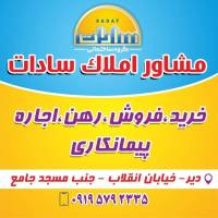 هاشمی نژاد 3579949543 پروفایل