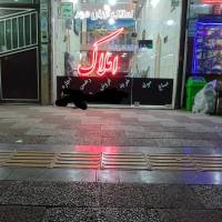 علی آقایاری پروفایل