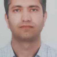 پویا بامیری پروفایل