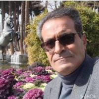 طاهری پروفایل