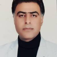 علی بیات پروفایل
