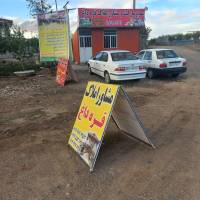 حبیب آذرگون پروفایل