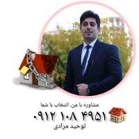 توحید مرادی پروفایل
