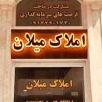 آقای پاشا پروفایل