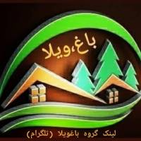 محمدرضا مقدم پروفایل