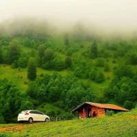 آقای کوهی پروفایل