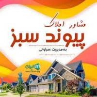 دانیال سراوانی  پروفایل