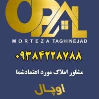 مرتضی تقی نژاد پروفایل