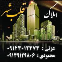 نادر محمودی پروفایل