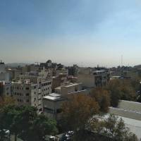 امیری پروفایل