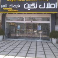 میلاد پاکیزه کار پروفایل