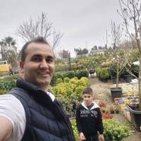 منصور قمی پروفایل