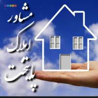 محمد حسینی پروفایل