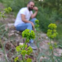 مجتبی حسین پور پروفایل