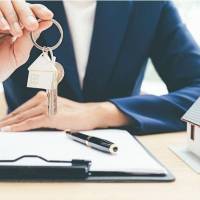 مسعود زعیمی پروفایل