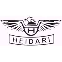 محمد مهدی حیدری پروفایل