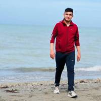 امیر محمد احمدی پروفایل