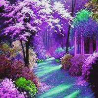 توفیق پروفایل