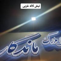 فهیمه قاسمی پروفایل
