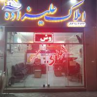 رامین کیانی  پروفایل