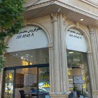 وحید لطفی پروفایل