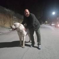 سعیدزمانی پروفایل