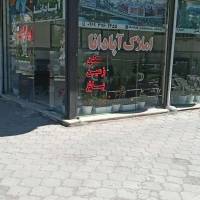 امیرحسین حبیبی پروفایل