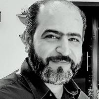 وحید شیخی پروفایل