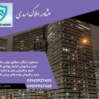 امیر اسدی  پروفایل