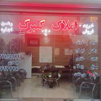 مهدی حیدری پروفایل
