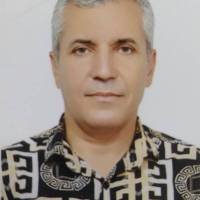 محمود محمدی عاشورآبادی  پروفایل