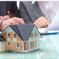 سالار قربانی پروفایل