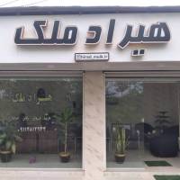 هیرادملک پروفایل