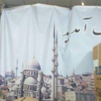 حامد سیف نیک پروفایل