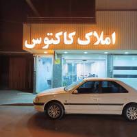 کمال نفری پروفایل