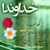 آرام فرجی پروفایل