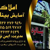 مشاور علے ایمن نژاב  پروفایل