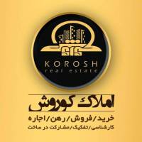 حسن رضایی پروفایل