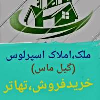 عباسی پروفایل