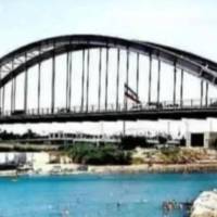 اردلان سرانی پروفایل