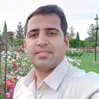 حامد زیوری پروفایل