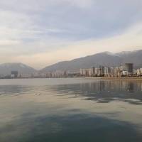 امیر مرادی پروفایل