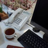 آرام سلیمانی پروفایل