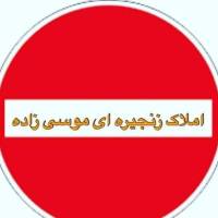  موسی زاده پروفایل