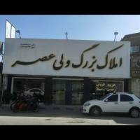 مشاور محمد  پروفایل