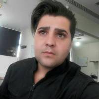شاهین پروفایل