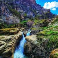 گلدشت بروجرد پروفایل