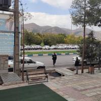 علی موسوی  پروفایل