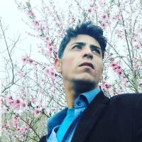 اسماعیلی محسن پروفایل