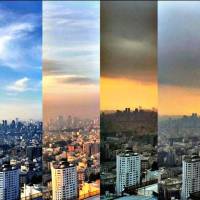 مهرداد پروفایل